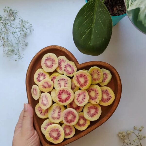 freeze dried kiwi pure natural