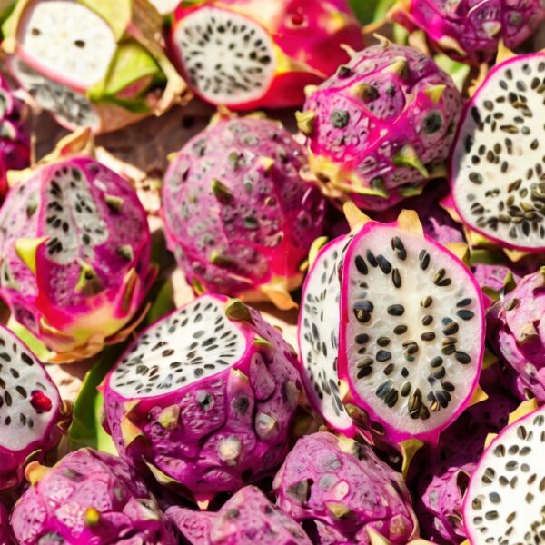 freeze dried dragon fruit pure natural
