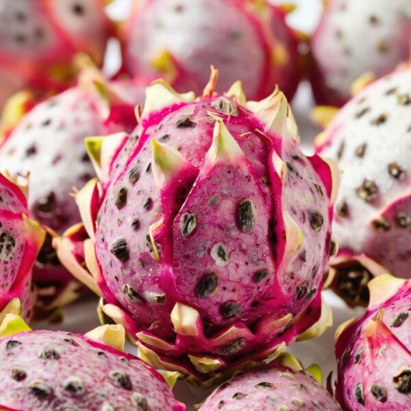 freeze dried dragon fruit pure natural