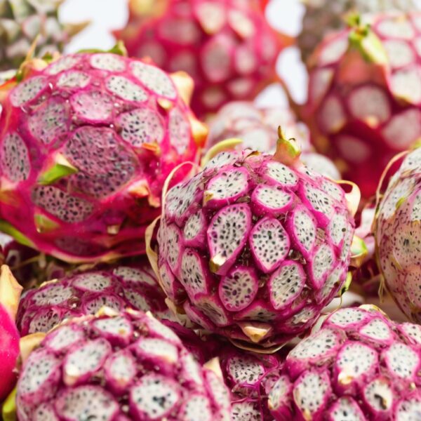 freeze dried dragon fruit pure natural